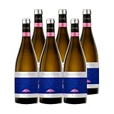 Aguazul Verdejo: análisis y comparativa de los mejores vinos blancos de la variedad Verdejo