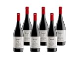 MASI 'FRESCARIPA' 2024 | Bardolino Classico DOC | 750 ml | caja de 6 botellas