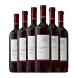 Sella e Mosca Cannonau Cannonau di Sardegna 75 cl Vino tinto (Caja de 6 Botellas de 75 cl)