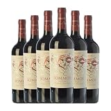 Sommos Varietales Somontano Crianza 75 cl Vino tinto (Caja de 6 Botellas de 75 cl)