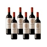 La Montesa Crianza: análisis y comparativa de su crianza frente a otros vinos crianza