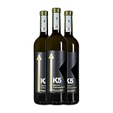 Txakoli Arguiñano: análisis y comparativa de su lugar entre los mejores vinos y bebidas alcohólicas