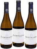 Ossian - Envío 24 H - Mejor Vino Blanco Verdejo - Alma Carraovejas - Enviado por Cosecha Privada (3 x Botella 75 cl, Quintaluna)