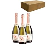 Botani Espumoso: Análisis y Comparativa de los Mejores Vinos Espumosos