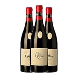 Raúl Pérez Ultreia Mencía Bierzo Crianza 75 cl Vino tinto (Caja de 3 Botellas de 75 cl)