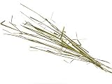 BISON GRASS 5L - Bison Vodka | Grass Vodka | Vodka Essence | Spirit Essences | Herbs by AlcoFermBrew