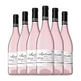 Campo Viejo Azpilicueta Rosado Rioja 75 cl Espumoso rosado (Caja de 6 Botellas de 75 cl)