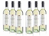 Canti - Chardonnay, Vino Blanco Seco Italiano, Sabor Fresco y Gusto Afrutado, 6x750 ml