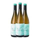 Cume do Avia Albariño Dos Canotos Ribeiro 75 cl Vino blanco (Caja de 3 Botellas de 75 cl)