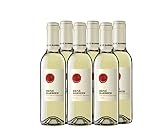 Rene Barbier Viña Augusta - Vino Blanco Semi Seco - pack de 6 de 370 ml - Total: 2220 ml