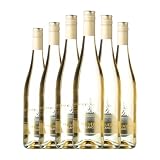 Pirineos Alquézar Blanco Gewürztraminer Somontano 75 cl Vino blanco (Caja de 6 Botellas de 75 cl)