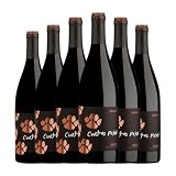 Cuatro Pasos Mencía Bierzo Joven 75 cl Vino tinto (Caja de 6 Botellas de 75 cl)