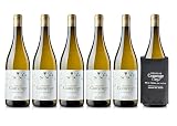 Vino Blanco Verdejo de Bodegas Comenge 2024 Ribera del Duero D.O. Rueda – Pack 6 vino blanco + Incluye Manga Enfriadora - Caja regalo reforzada Vinos Blancos