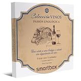 Cata de vinos en Burdeos: comparación de los mejores tintos y blancos de la región