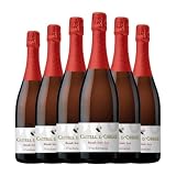 UCSA Castell d'Ordal Rosado Cava 75 cl Espumoso blanco (Caja de 6 Botellas de 75 cl)