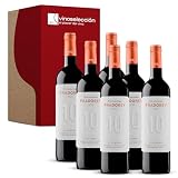 Pradorey 10 Meses 2024 Vino Tinto D.O. Ribera del Duero 6 Botellas x 75 cl