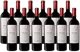 Finca Villacreces Pruno 2023 – Vino Tinto Crianza D.O. Ribera del Duero – 75 Cl – Pack 12 Botellas– Crianza elegante con notas de frutas rojas y roble francés