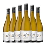 Vallformosa Masía Freyé Penedès Joven 75 cl Vino blanco (Caja de 6 Botellas de 75 cl)