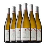 Alella: cata de vinos, análisis y comparativa de los mejores vinos y bebidas alcohólicas