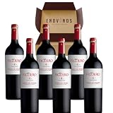 Figuero 4 - Actualmente Figuero Asomo - 6 x Botellas Vino tino Ribera del Duero - 100% Tempranillo - Envío 24H - Mejor Selección Enovinos