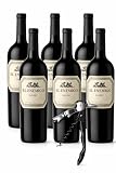El Enemigo Malbec 750 ml – Pack 6 Botellas + Sacacorchos Profesional de Regalo | Vino Tinto Mendoza Argentina