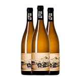 Ramón do Casar Nobre Treixadura Ribeiro 75 cl Vino blanco (Caja de 3 Botellas de 75 cl)