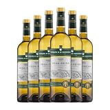 Hacienda Zorita Vega Reina Verdejo Rueda Joven 75 cl Vino blanco (Caja de 6 Botellas de 75 cl)