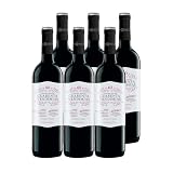 Cuarenta Vendimias DO Rioja (6 Botellas x 750ml)
