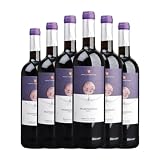 Valderiz Valdehermoso Tempranillo Ribera del Duero Joven 75 cl Vino tinto (Caja de 6 Botellas de 75 cl)