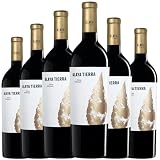 Alaya Tierra Vino Tinto con Crianza de 15 Meses en Roble Francés y Americano, elaborado en España con Garnacha Tintorera para una experiencia intensa y compleja.| 6 botellas