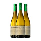 Regina Viarum Godello Ribeira Sacra Crianza 75 cl Vino blanco (Caja de 3 Botellas de 75 cl)