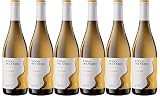 Viñas Del Vero Chardonnay Colección - Vino D.O. Somontano - 6 botellas de 750 ml - Total: 4500 ml