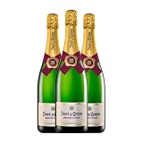 Juvé y Camps Cinta Púrpura Brut Cava Reserva 75 cl Espumoso blanco (Caja de 3 Botellas de 75 cl)