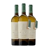 Martín Códax Organistrum Albariño Rías Baixas Crianza 75 cl Vino blanco (Caja de 3 Botellas de 75 cl)