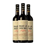 Alta Pavina Pago La Pavina Vino de la Tierra de Castilla y León Crianza 75 cl Vino tinto (Caja de 3 Botellas de 75 cl)