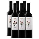 LAUS - Pack de 6 Botellas de Vino de 75 cl - Vino Tinto Joven - Denominación de Origen Somontano - Elaborado con Variedades Merlot y Syrah - Aroma Frutal