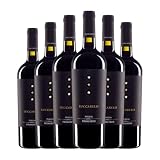 Luccarelli Primitivo Puglia 75 cl Vino tinto (Caja de 6 Botellas de 75 cl)