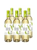 Cantarranas Verdejo - Vino Blanco DO Rueda (6 Botellas x 750ml)