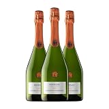 Fermí Bohigas Brut Nature Cava Reserva 75 cl Espumoso blanco (Caja de 3 Botellas de 75 cl)