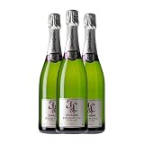 Juvé y Camps Essential Púrpura Cava 75 cl Espumoso blanco (Caja de 3 Botellas de 75 cl)