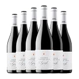 Casa del Valle Hacienda Syrah Vino de la Tierra de Castilla Joven 75 cl Vino tinto (Caja de 6 Botellas de 75 cl)