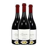 San Valero Particular Viñas Centenarias Garnacha Cariñena 75 cl Vino tinto (Caja de 3 Botellas de 75 cl)