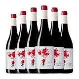 Coca i Fitó Jaspi Negre Montsant Joven 75 cl Vino tinto (Caja de 6 Botellas de 75 cl)
