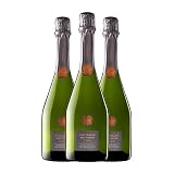 Fermí Bohigas Brut Nature Cava Gran Reserva 75 cl Espumoso blanco (Caja de 3 Botellas de 75 cl)