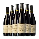 Cepa 21 Hito Tempranillo Ribera del Duero Joven 75 cl Vino tinto (Caja de 6 Botellas de 75 cl)