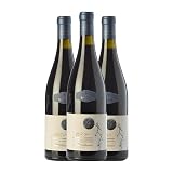 Cal Batllet D'Iatra Gratallops Vi de Vila Priorat Crianza 75 cl Vino tinto (Caja de 3 Botellas de 75 cl)