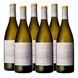 Vino Blanco Petit de Matasnos de 75 cl - D.O. Ribera del Duero - Bodegas Bosques de Matasnos (Pack de 6 botellas)
