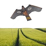 Cometa Águila Voladora Ahuyentapájaros,Protector De Cultivos Agrícolas,Cometa Depredadora Para Ahuyentar Estorninos En Frutales - Para Huerto Viñedo Arándanos Maíz Girasol Exterior Césped Agricultores