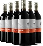 Valderiz 2020 - Vino Tinto Crianza - D.O Ribera del Duero – Ideal para Carnes a la Parrilla, Cordero Asado, Embutidos Selectos y Quesos Curados - Pack 6 Botellas 750ml