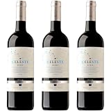 Celeste Roble, vino tinto joven con paso por roble, elaborado con Tinta Fina en Ribera del Duero. Frescura frutal con matices tostados ideales para maridar.| 3 botellas